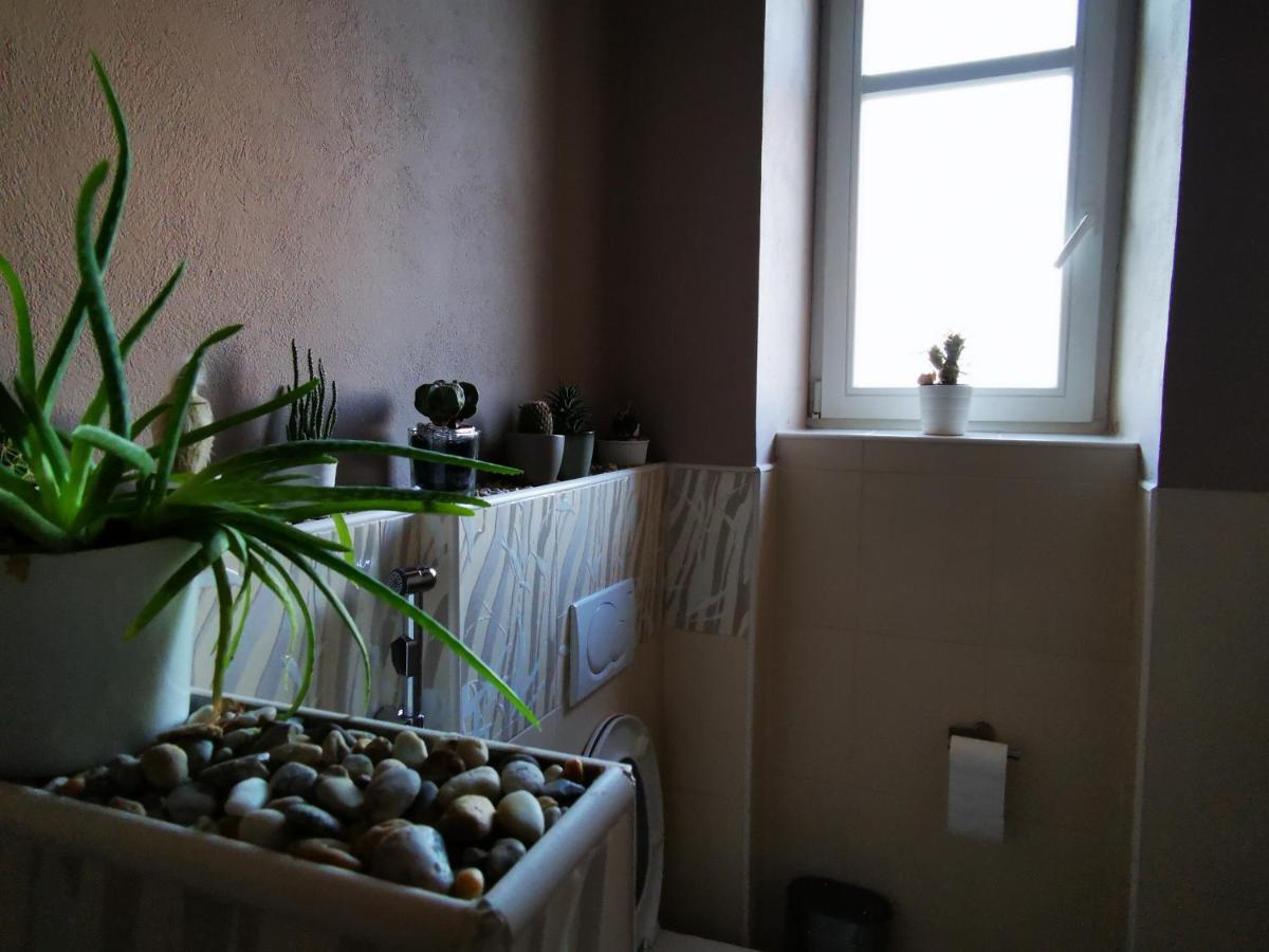 Falcon Apartment Trnava Exteriér fotografie